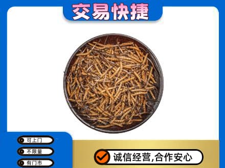 彭阳县高价回收散虫草
